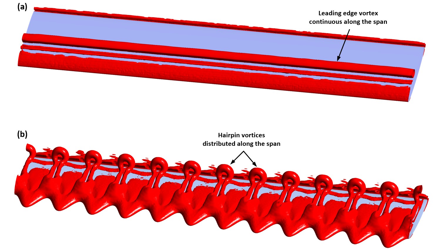 Hairpin vortex structure visualization